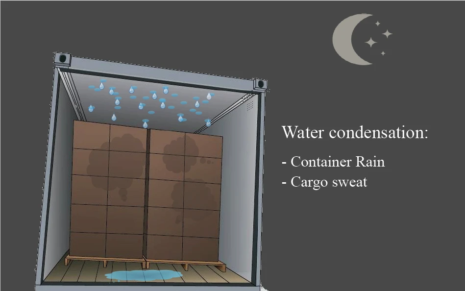 konteyner yoğunlaşma container condensation