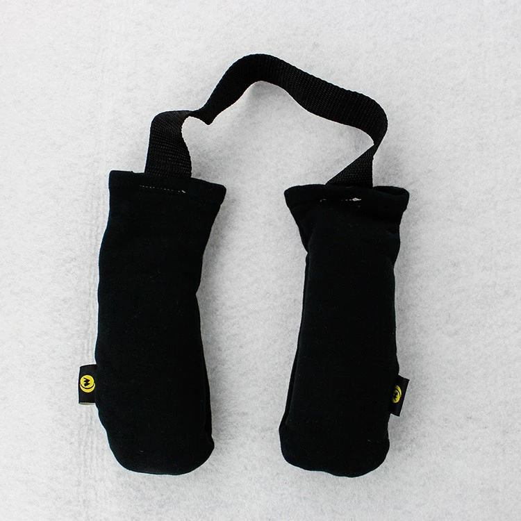 2. Eco-friendly sport glove deodorizer bags.jpg