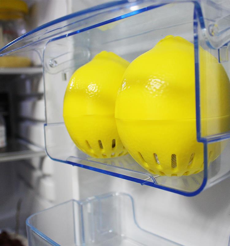 Best Quality Refrigerator Healthy Purifying Bag.jpg