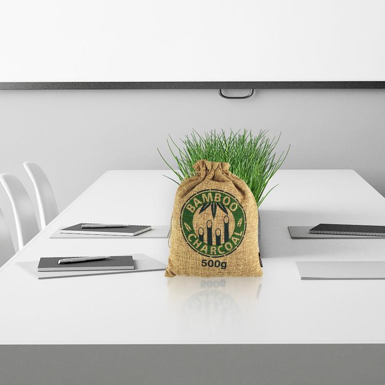 Large Capacity Natural Air Purifying Bags.jpg