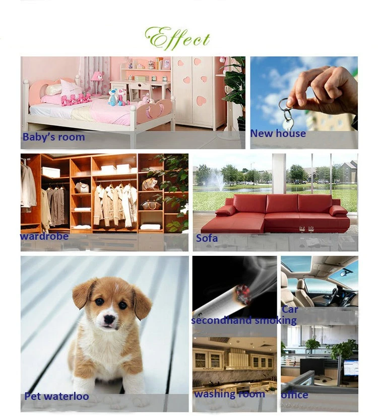 occassions gardırop kullanılan