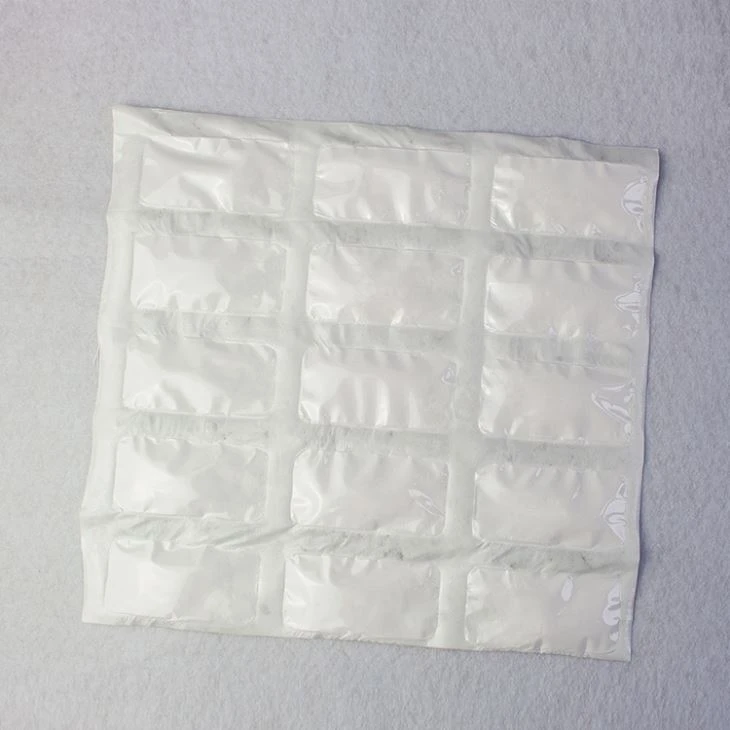 Tyvek Sachet Desiccant Suplier 20 Years
