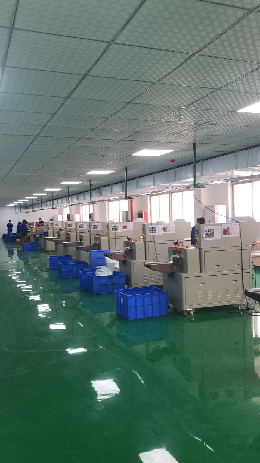 CHUNWANG'ın Üçüncü Kurutucu Tesisi Başladı